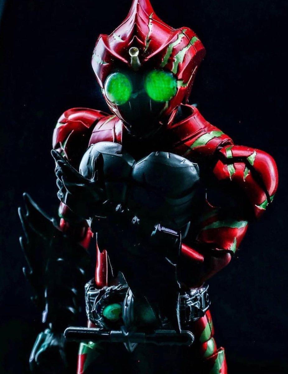 The photographer                   The shots