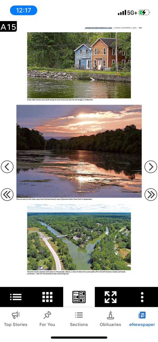 Tina MacIntyre-Yee 🌊 tweet media