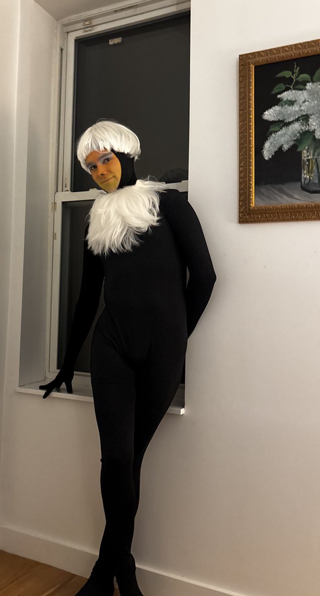 dressed up as my avi which is my favorite monkey known as the red shanked douc