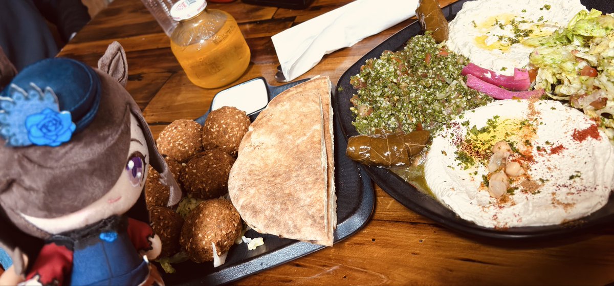 Rice eats falafel 🥙