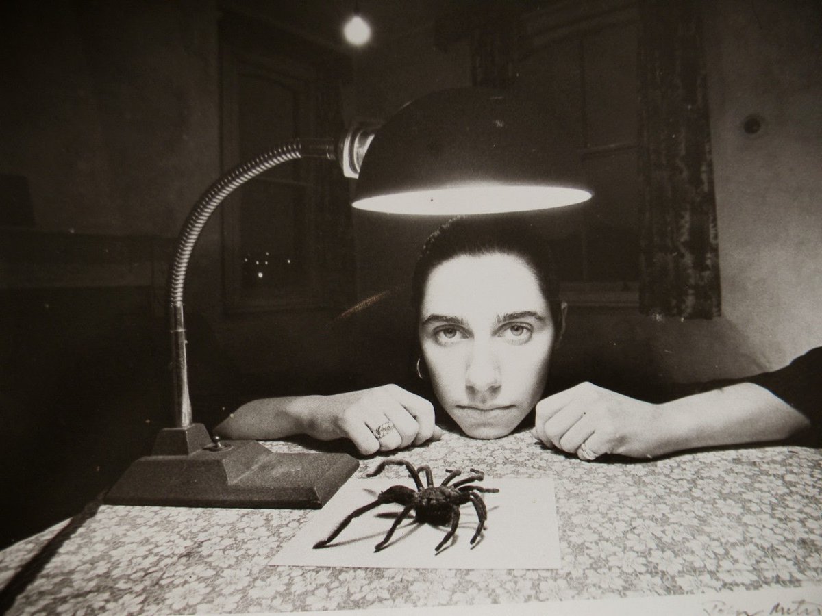 PJ Harvey photographed by John Miles