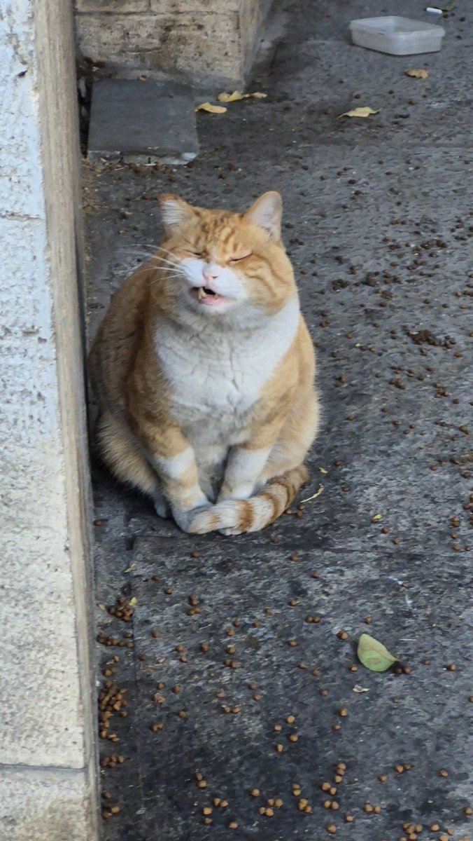 Merilin Monro liboslari namunalari