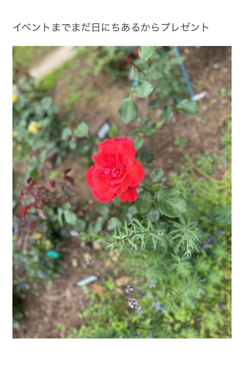 まぁゆページ♬*° まぁゆページ♬*° ♡♡♡ページ Yuゆ¨̮♡ページ