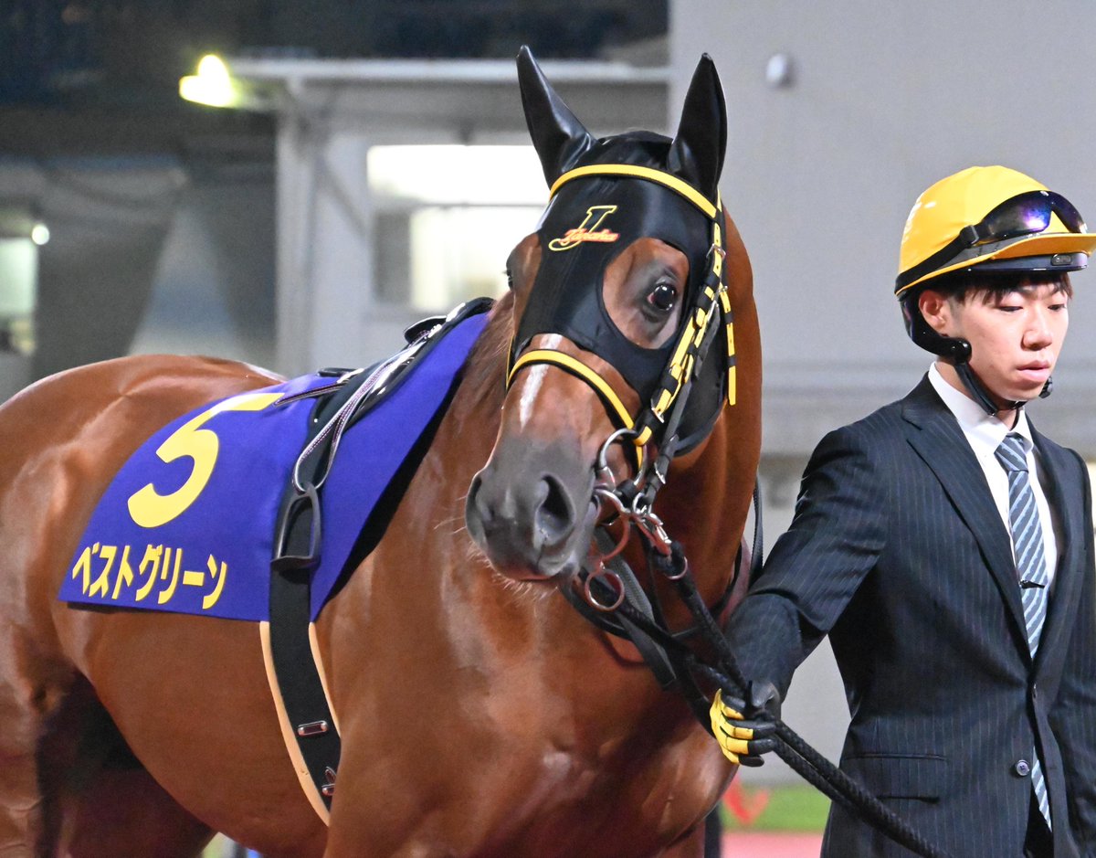 馬のいる景色 なかちぃ on X