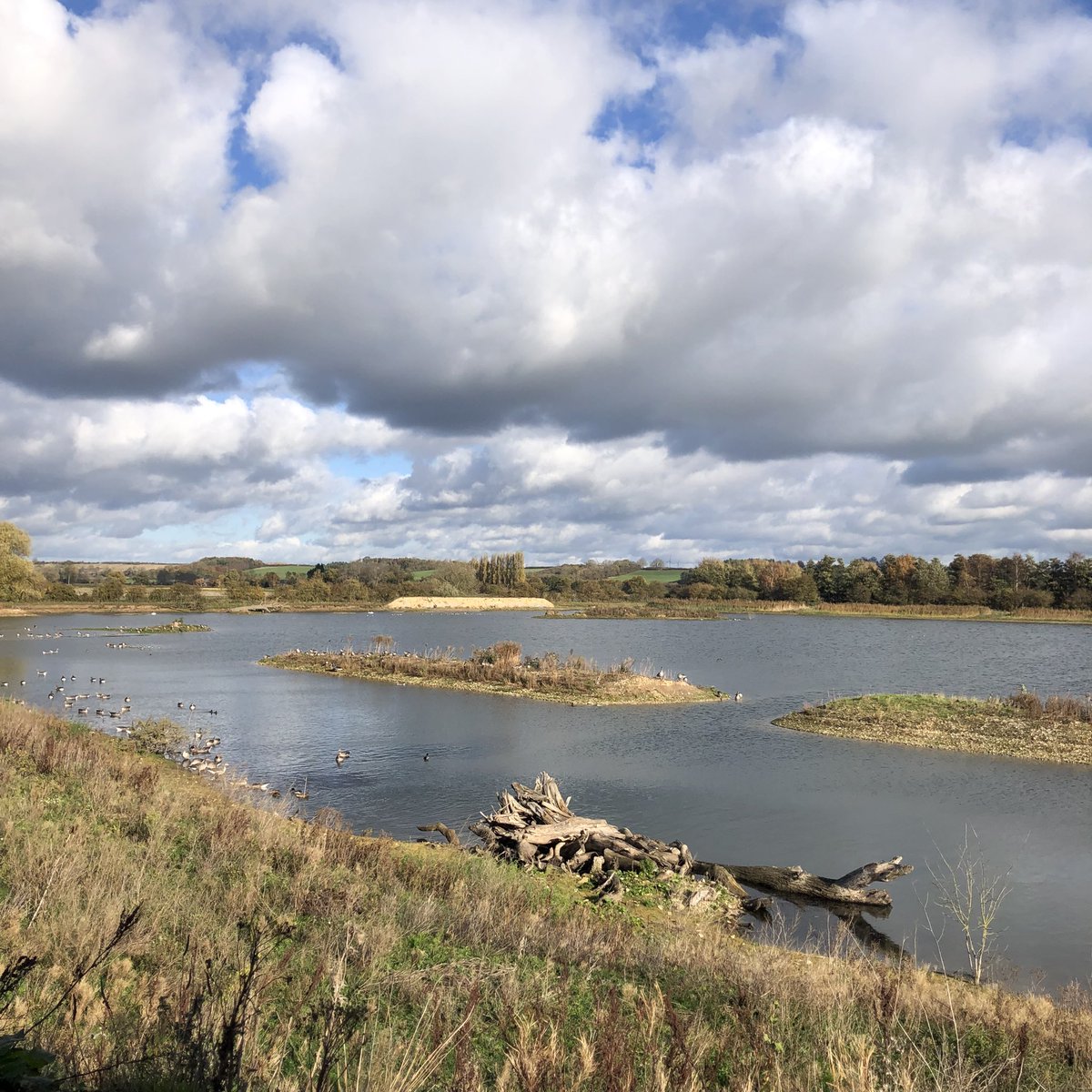 Lovely day spent <a href="/NorthCaveWet/">North Cave Wetlands</a> with <a href="/DerbyshireBT/">Derbyshire Bird Tours</a> today. This is a fantastic reserve with reedbeds, meadows, woodland and lakes. We saw lots including a female bullfinch feeding on blackberries and a bittern in flight ☀️ #derbyshirebirdtours #northcavewetlands