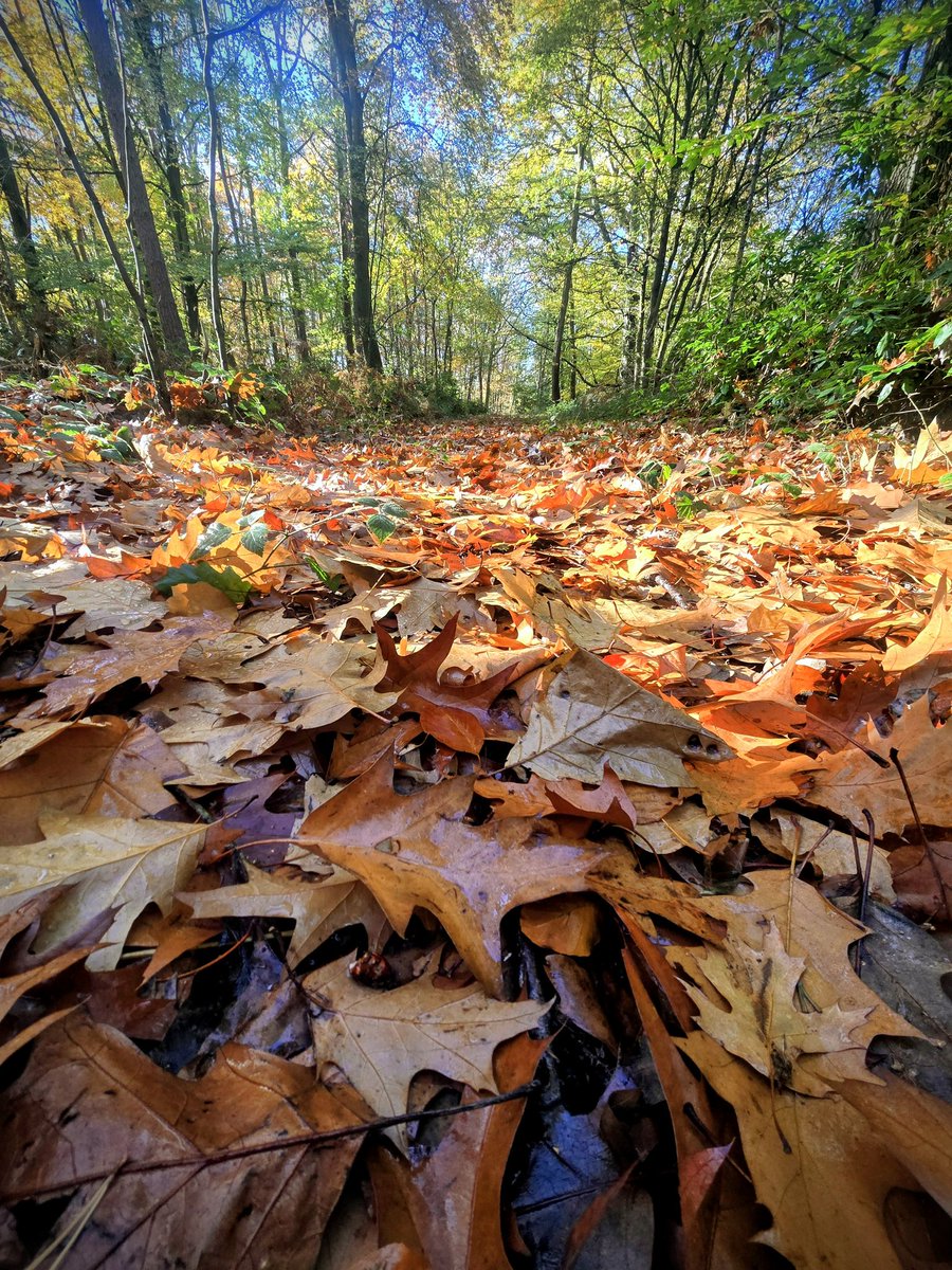 Evening <a href="/TheoPaphitis/">Theo Paphitis</a> please pick me for #sbs this week
I have 2 books you won't want to leave(s) alone and today is my 1221st day, so at least 2 more books to come 🤗
They're inspirational, educational and best of all full of 'Dad' jokes! See above 🤭🤭
bit.ly/49DET0K