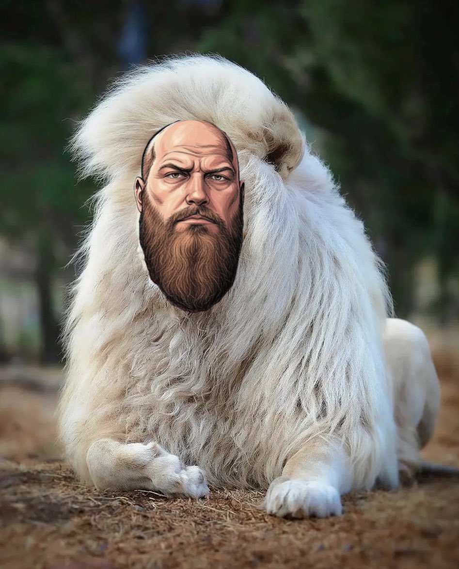 Besorgt blicke ich auf die Bundesrepublik Deutschland