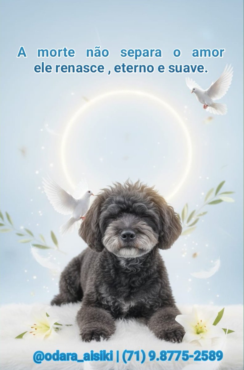 tarologoodara's tweet photo. Kardec diz: "Nascer, morrer, renascer ainda e progredir sempre, tal é a lei."
É uma visão otimista e racional, focada em aprendizado eterno.
Agende sua tiragem para contato com o mundo espiritual
#diasdosmortos #finados https://t.co/IN4OAjamqG