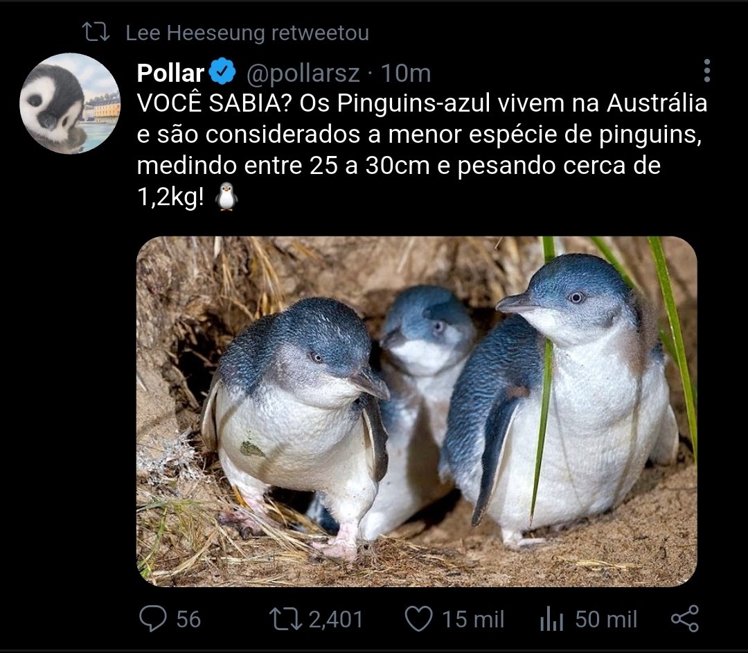 mqonstrvck's tweet image. 181.