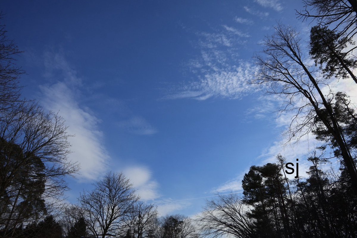 SandraBeeKind's tweet image. In Nature, one of the closest, most intimate teachers of source is the sky.
John P. Milton

There’s nothing like the calm of a blue sky 💙

#Skies
#PositiveMindset 
#NaturePhotography 
#NatureBeauty