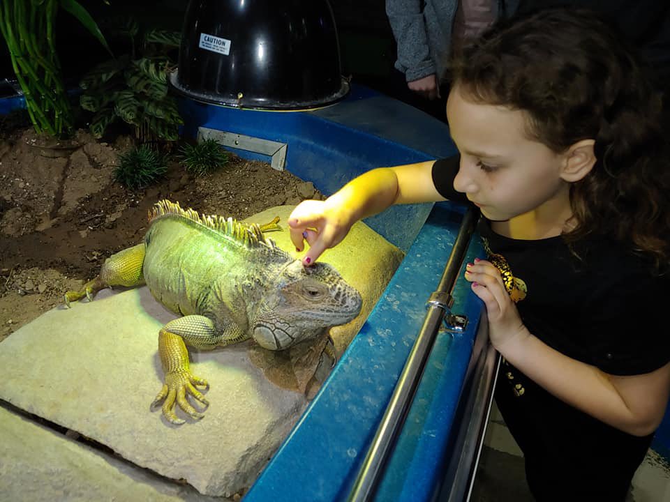 Sunday funday with our sweet reptiles! 🦎 

We are open 
Monday thru Thursday 10am-6pm
Friday &amp; Saturday 10am-8pm 
Sunday 10am-7pm 

austinaquarium.com/atickets/weeke… #austinaquarium #interactiveaquarium #sundayvibes #iguana