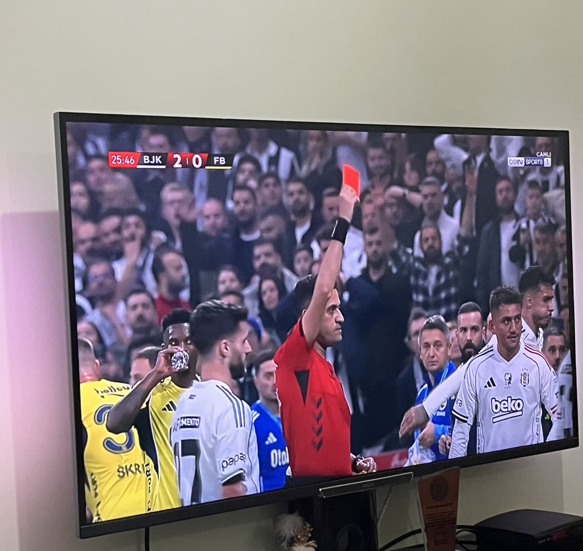 irem_engnn's tweet image. Hayatta daha çok sevdiğin çok az şey var. Beşiktaş-fener maçı izlemek..🦅