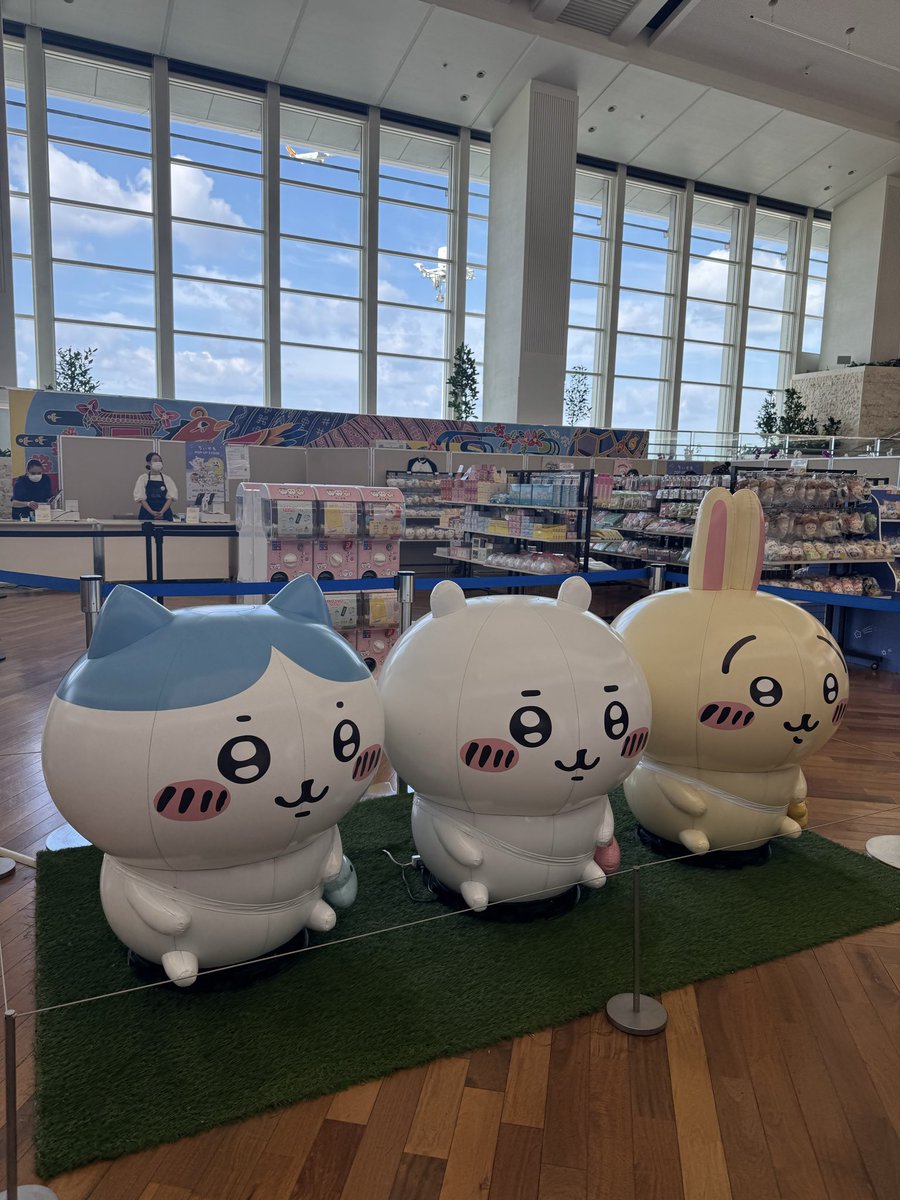 シーサー - Search / X