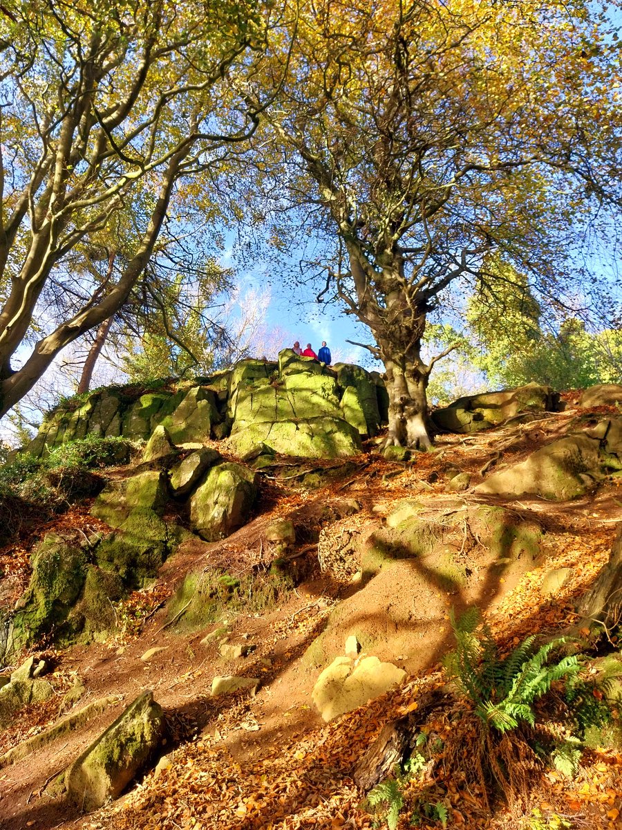 Lindsey Hall tweet media