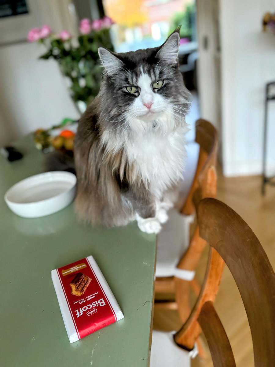 Гнев, отрицание, торг и принятие шоколадки