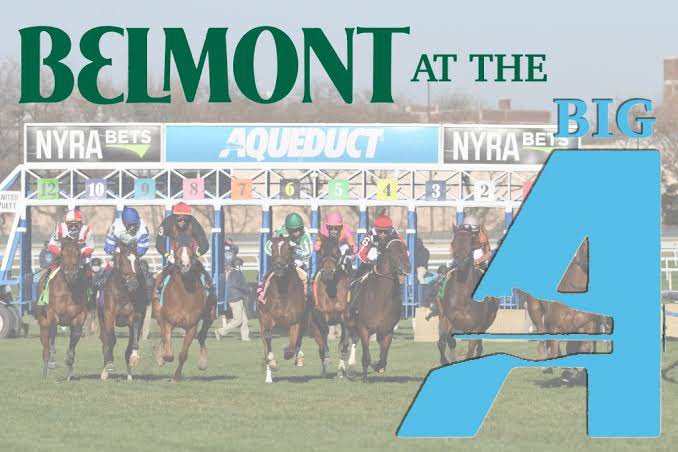 🇺🇸 Belmont At The Big A Picks

6,5,3
7,9,4,5
7 CONCURRENTLY (Best Bet)
6,2,4,1,5
8,1
5,4,6,1

384₺