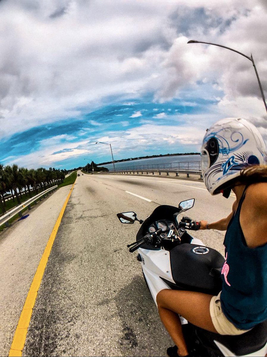 Amber Torrealba tweet media