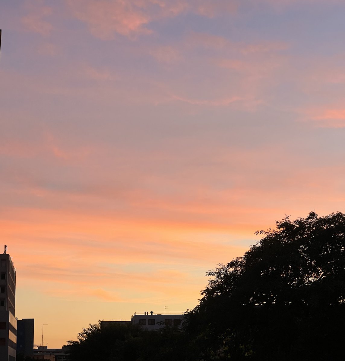 pablolvera00's tweet image. Salir al balcón sirve para darse cuenta que hay vida más allá del cuarto y de la oposición, aunque cueste creerlo.