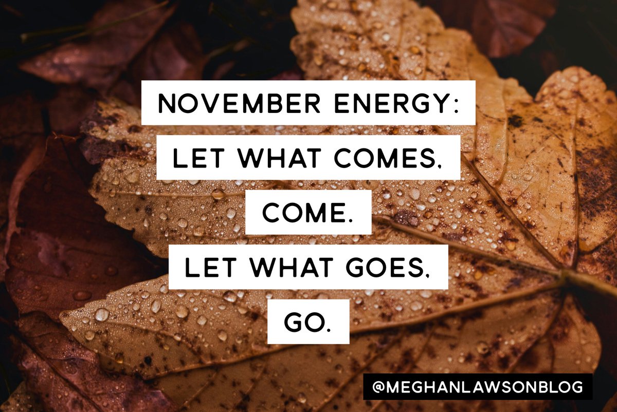 New Post: A Page Turned

meghanlawson.com/2025/11/02/a-p…