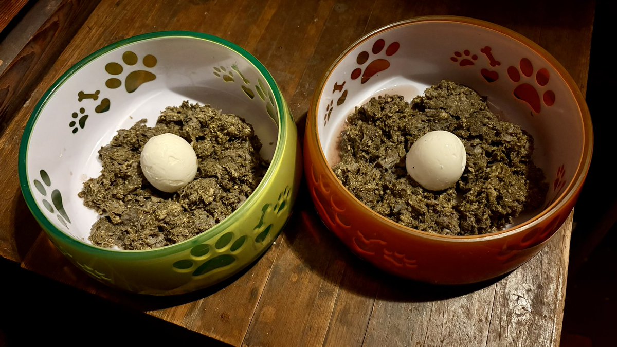 Heute gab es unser #wochenendei in der Variante „schlicht und einfach“. 
Uns egal, lag nämlich auf einem Bett aus Pansen 🤤🤤. Und das ist unser absolutes Lieblingsessen 💚💚. 
Habt alle einen schönen Abend!
<a href="/mav_cologne/">Eric Hoch</a> 
<a href="/MilchSchnitte2/">Milch Schnitte</a>