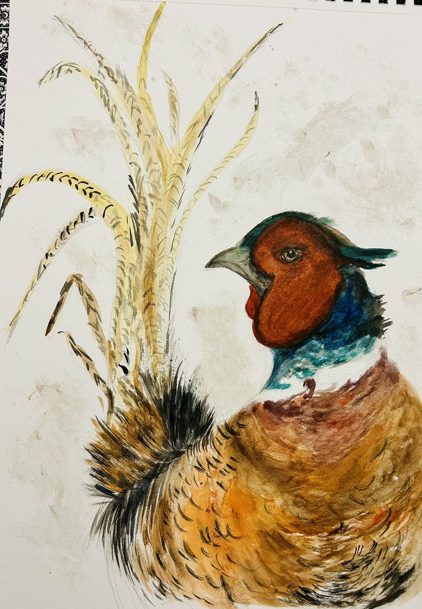 Un faisan arrogant  . Dessin aquarelle de novembre déjà . Belle soirée de mon Poitou #chassepartage #IlssachentNouschassons . Un grand merci à ceux qui me suivent et m’encouragent. 🥰🥰😘😘😘