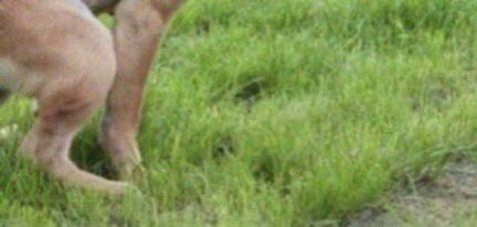 reem_khidir's tweet image. #boycottUAE .