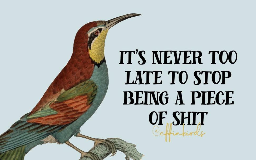 Mindless Pixie tweet media