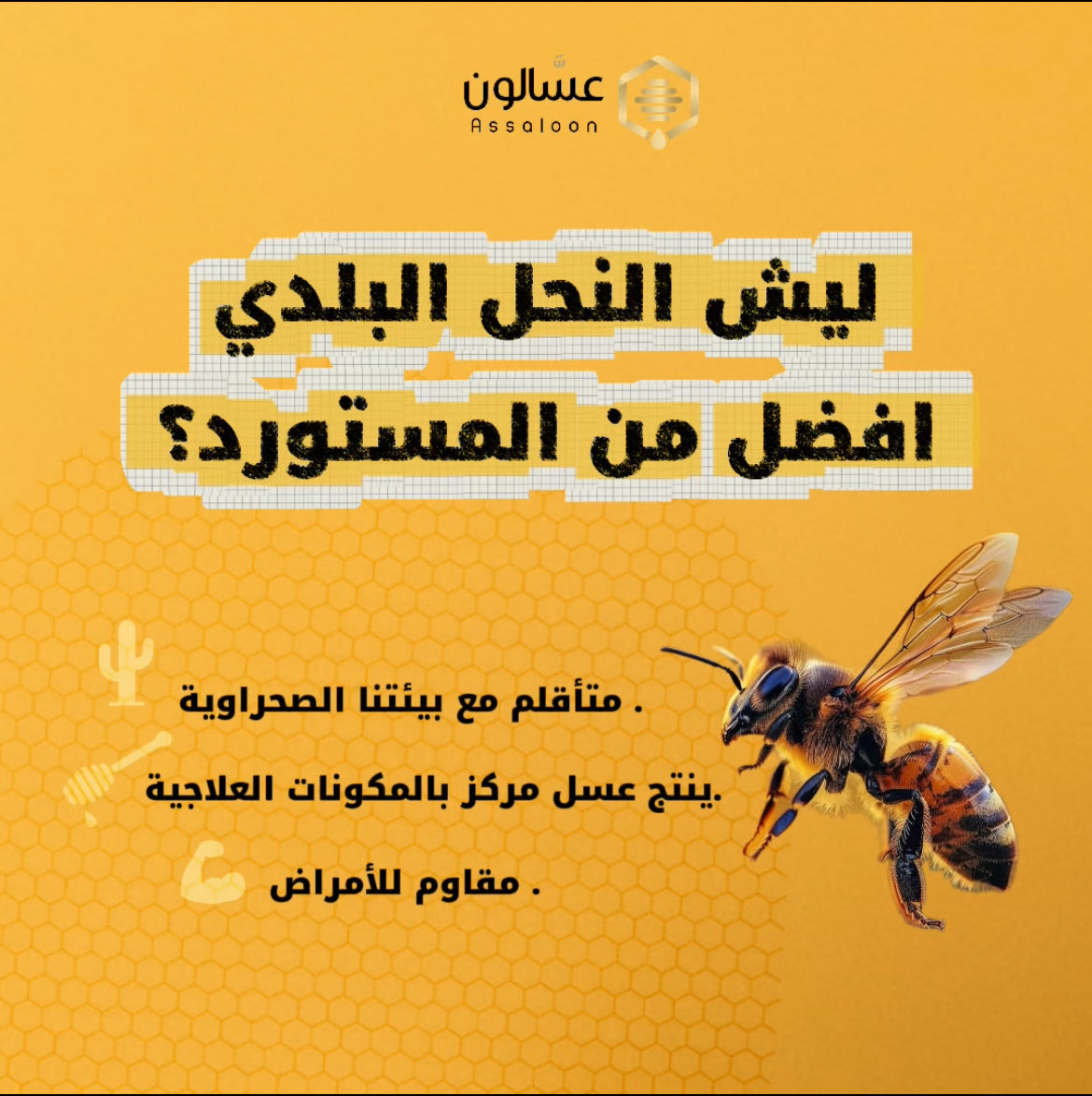 النحل البلدي متأقلم مع بيئتنا الصحراوية، مقاوم للأمراض، ويُنتج عسل مركز بالمكونات العلاجية خصوصًا في مواسم السدر والطلح 🍯

هل جربت العسل المحلي؟ شاركنا تجربتك 👇

#معلومات #و  #حقائق #العسل 
#عسالون