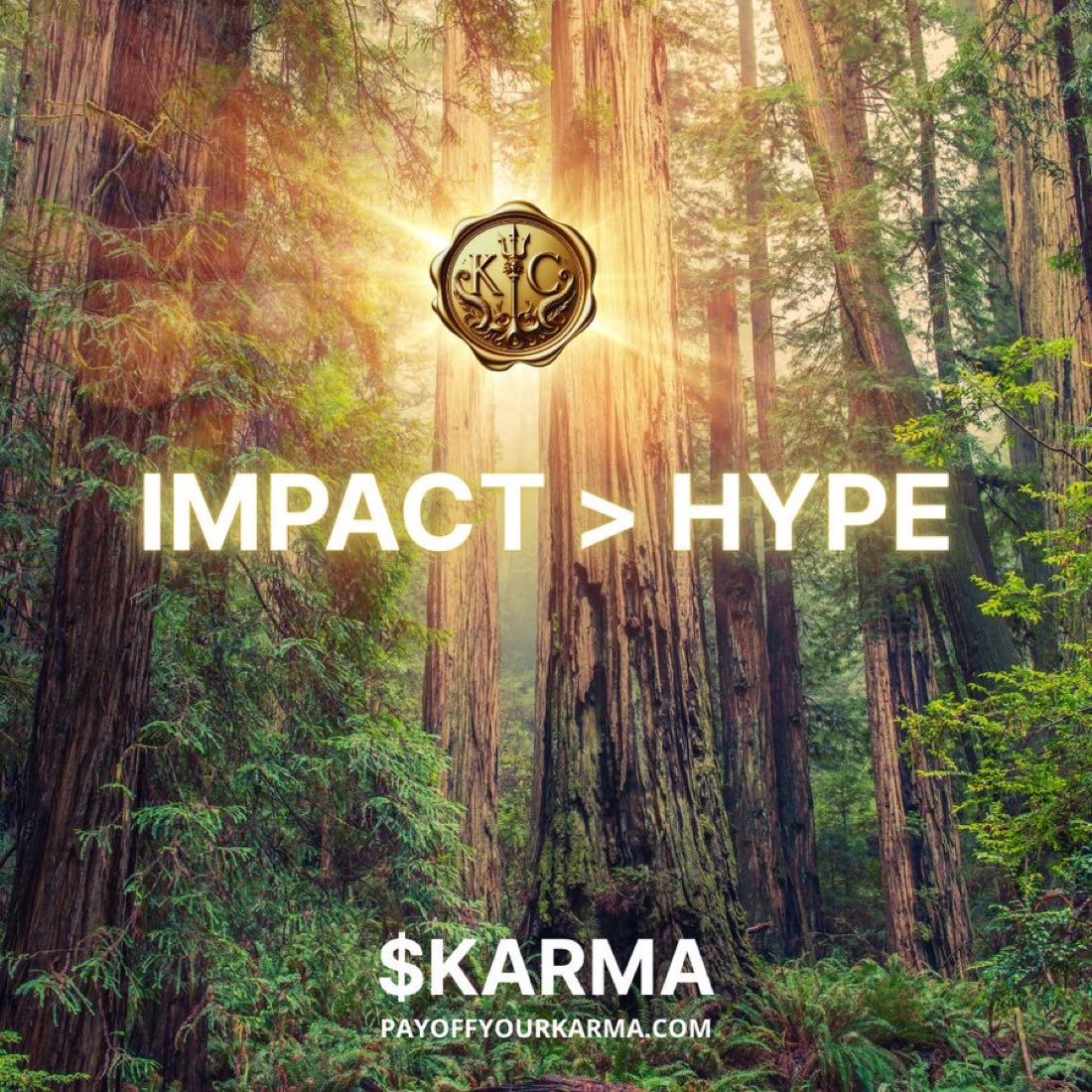 Karmacoin tweet media