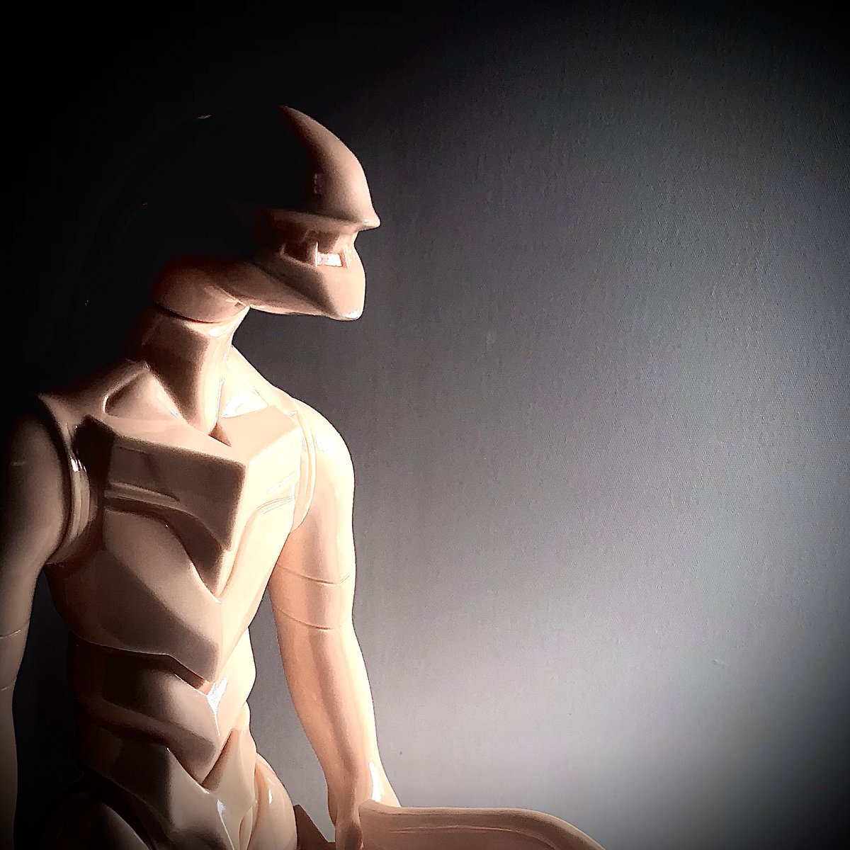 ソフビカツドウ (@sofvikatsudou) / Posts / X