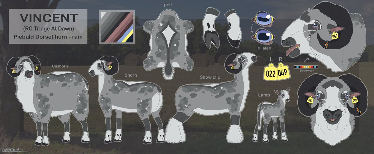 Lamb / Airy 🐑🪶🔜 TFF tweet media