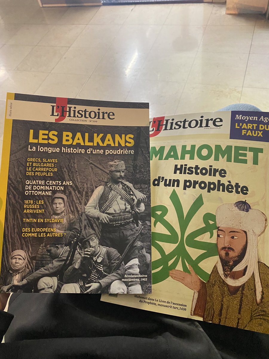 L’Histoire + correction de copies prévus pour le train je suis un cliché parfait