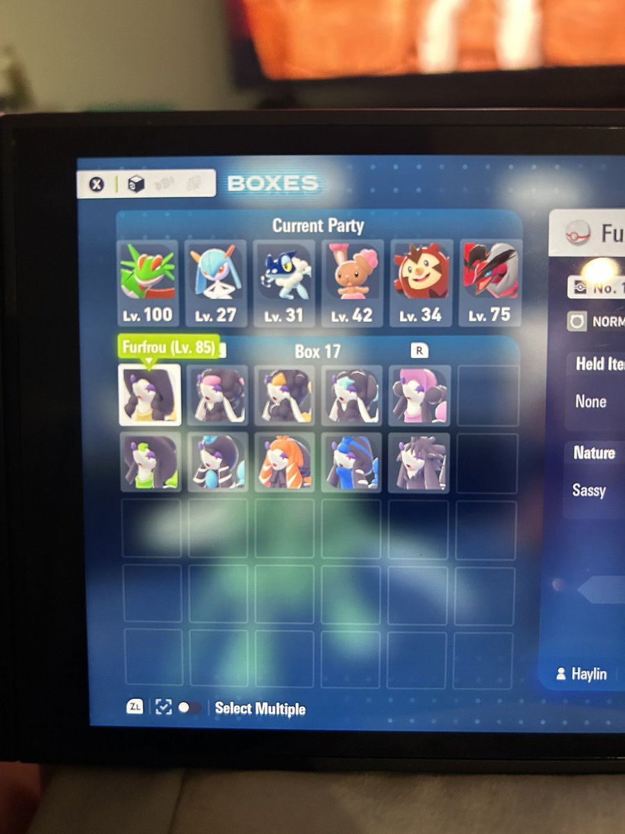 Stickbrain42's tweet photo. Finally got every furfrou form shiny. The first 2 are alpha aswell☺️. #PokemonLegendsZA  #ShinyPokemon #furfrou @BlueVack @shinyycatherine https://t.co/ZgEhNexjU3