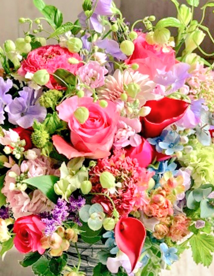 mayu。 (@xx_mayu_xx) / Posts / X