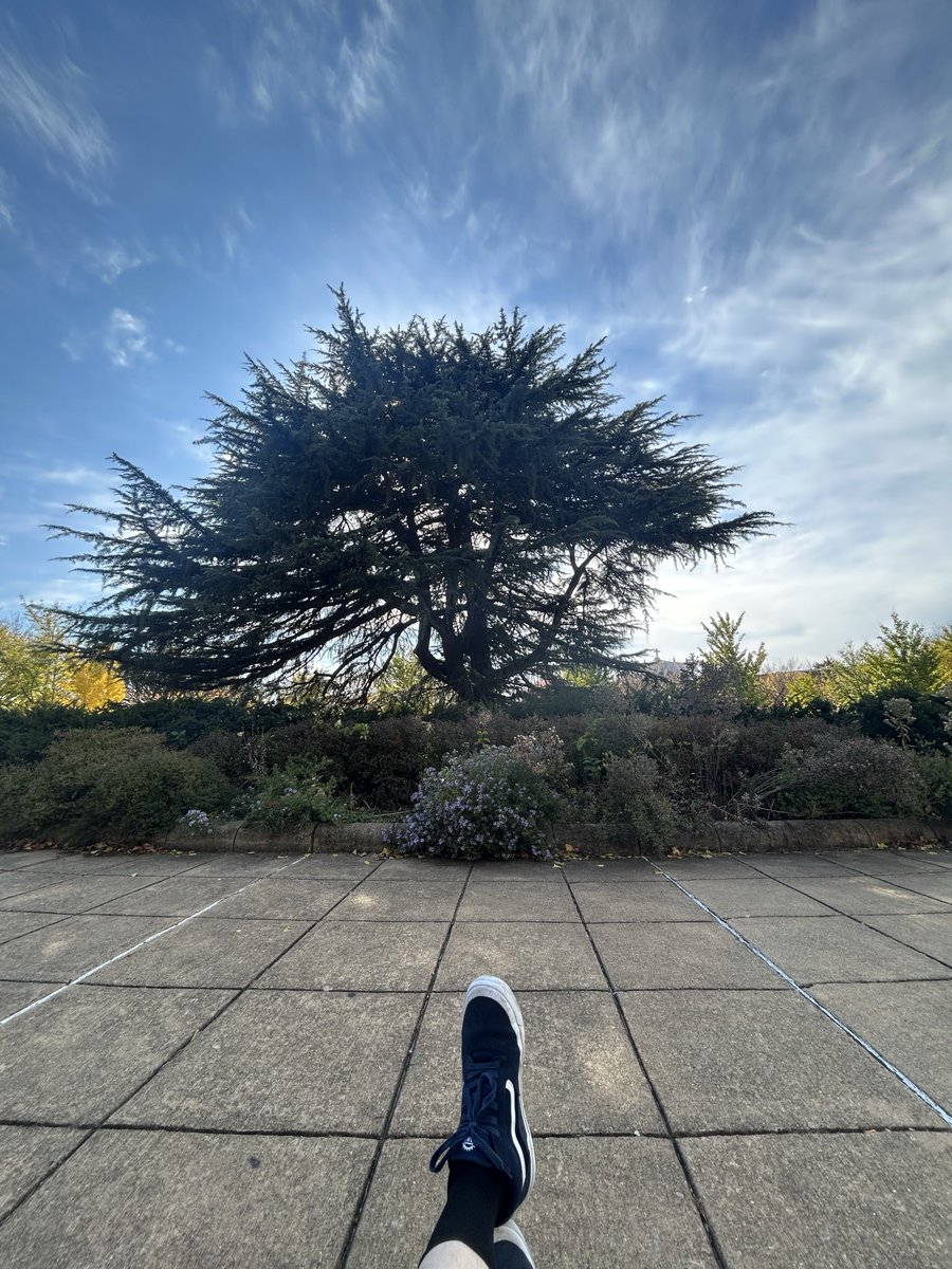 Small-town DC, and her lovely little places.