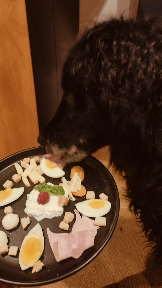 <a href="/mav_cologne/">Eric Hoch</a> 
<a href="/MilchSchnitte2/">Milch Schnitte</a> 
<a href="/vonundzu_Stine/">Burgfräulein_Stine</a> 
<a href="/Figo_NRW/">Figo der Zauberhund (Minister f Streitschlichtung)</a> 
<a href="/GlitzerflauschV/">VidaGlitzerflausch </a> 
<a href="/SiriwhoSiriwho1/">ElliPirelli🐾</a> 
#Twitterrudel
#Wochenendei
Käsevariation mit Croutons und 🥚🤤🤤