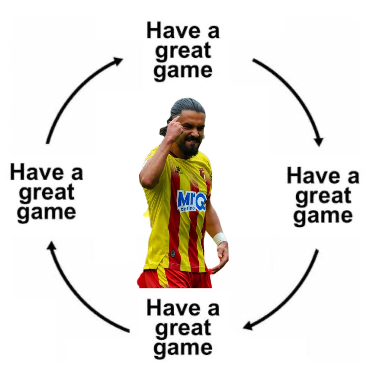 hr_wfc's tweet photo. The imran louza cycle #watfordfc https://t.co/P0Y7PRzyuU