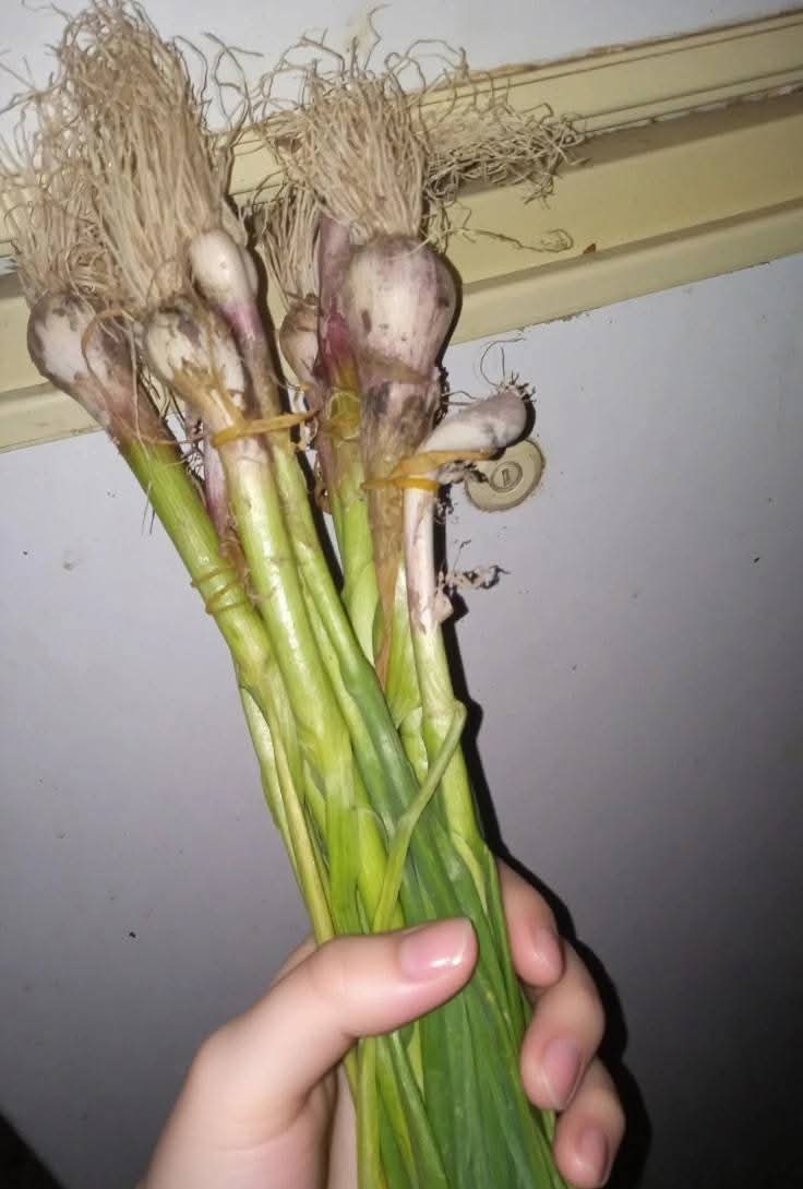 ضوء القمر (@asdf01461) on Twitter photo 