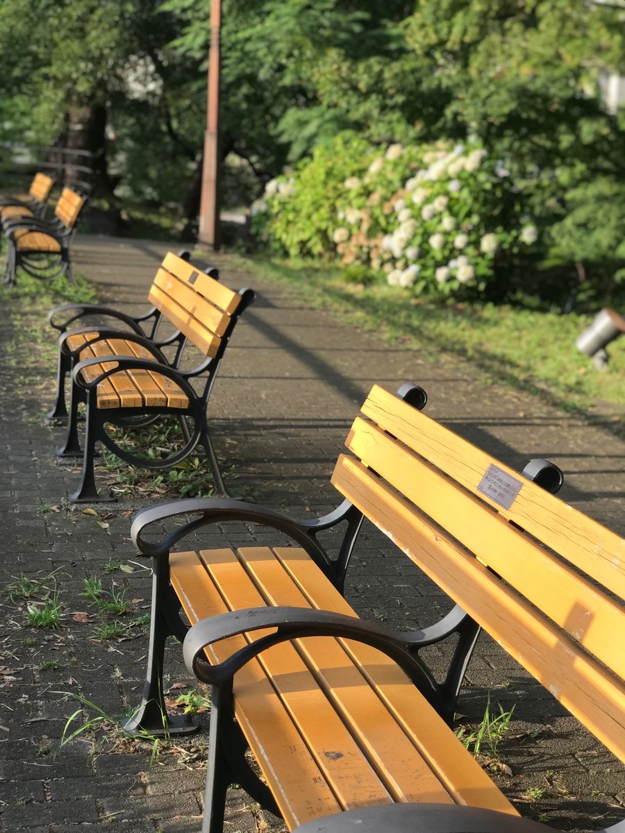 高級木材「ヒノキ」で出来たベンチが、全部捨てられる日比谷公園
今も他の公園で広がり続けているこのベンチは、都の財政難の時期に日比谷公園から始まった寄付ベンチなのですが、既にガンガン壊されてしまいました

#日比谷公園を助けて
#小池都知事
署名🙏 
change.org/HibiyaPark