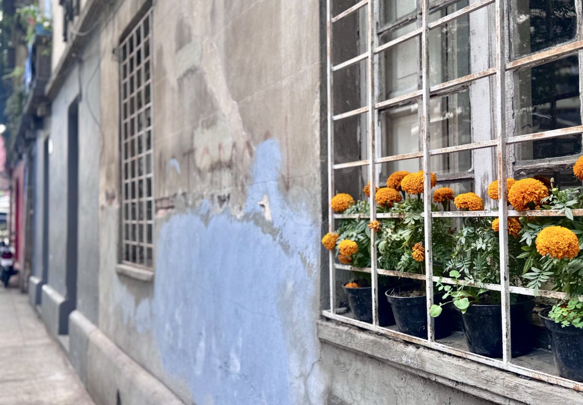 En cualquier parte de la ciudad, bienvenidos los que se fueron antes.