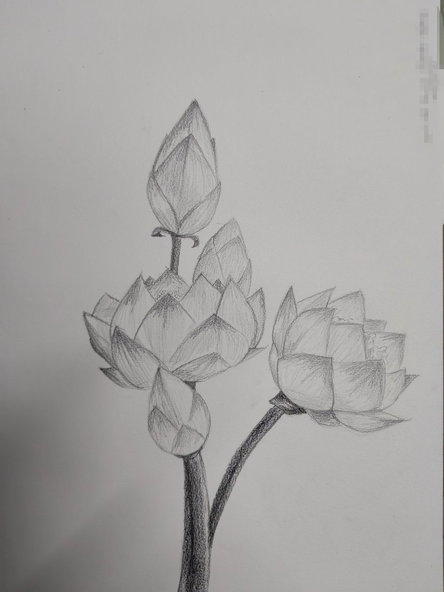 I'm kinda burnout at this moment so you can eat my college assignment for snack