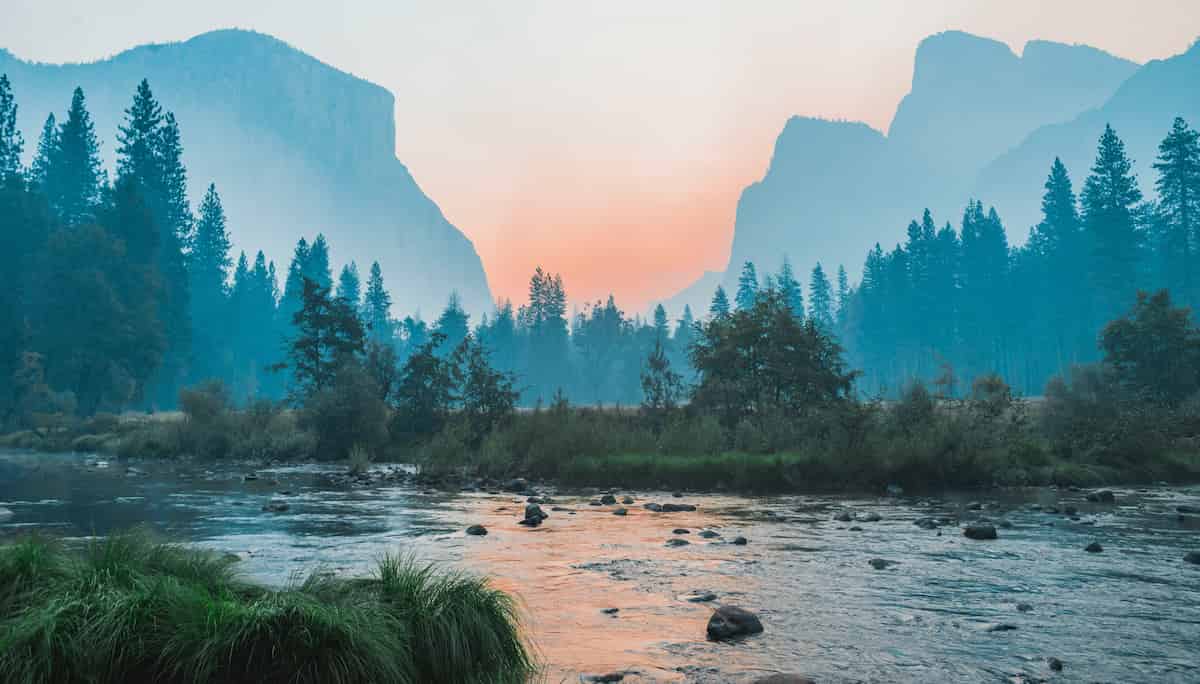 PsyBlog's tweet image. Nature: 10 Beautiful Ways It Heals &amp;amp; Transforms The Mind (P) spring.org.uk/2025/11/10-nat…