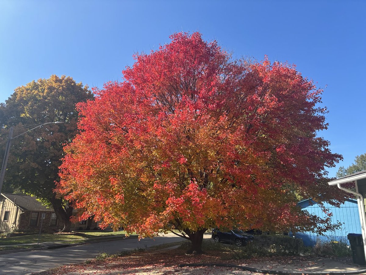 Now she’s really showing off.