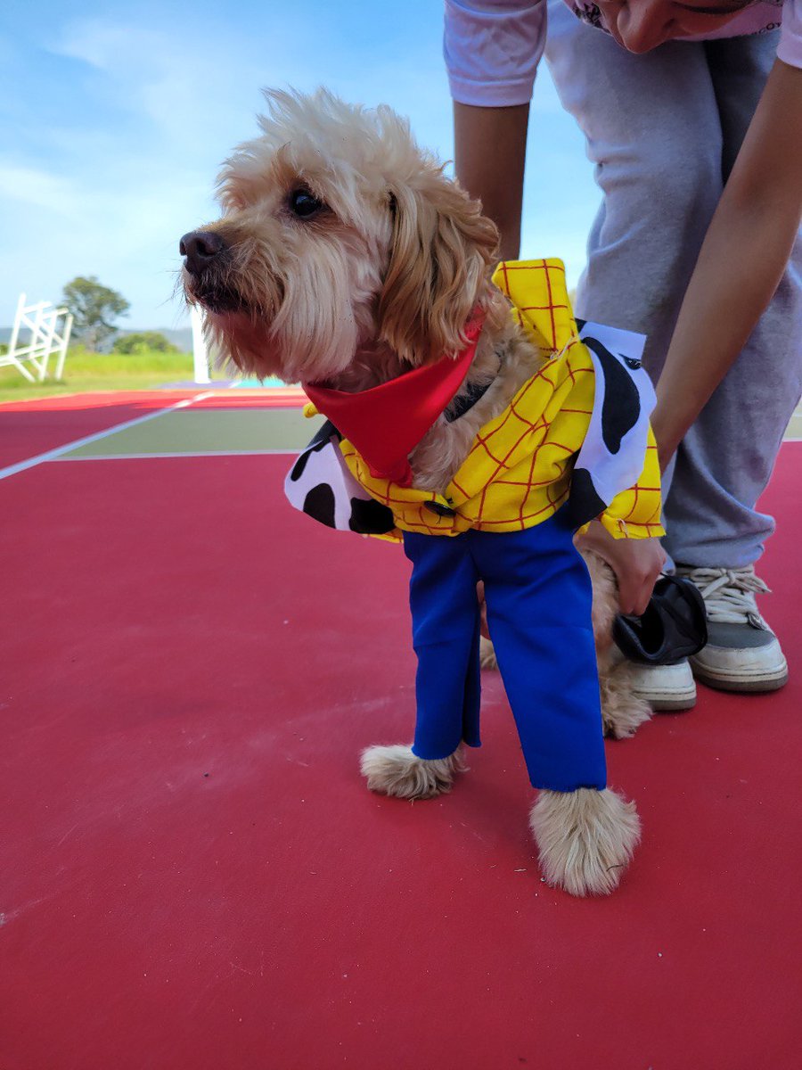 udg_oficial's tweet photo. ¡Patitas invadieron el #CUCBA! 🐾😍

Conoce a los lomitos que participaron en la segunda caminata con motivo del aniversario de la Educación Veterinaria en Jalisco. 🐶 https://t.co/f3kA6VeQHF