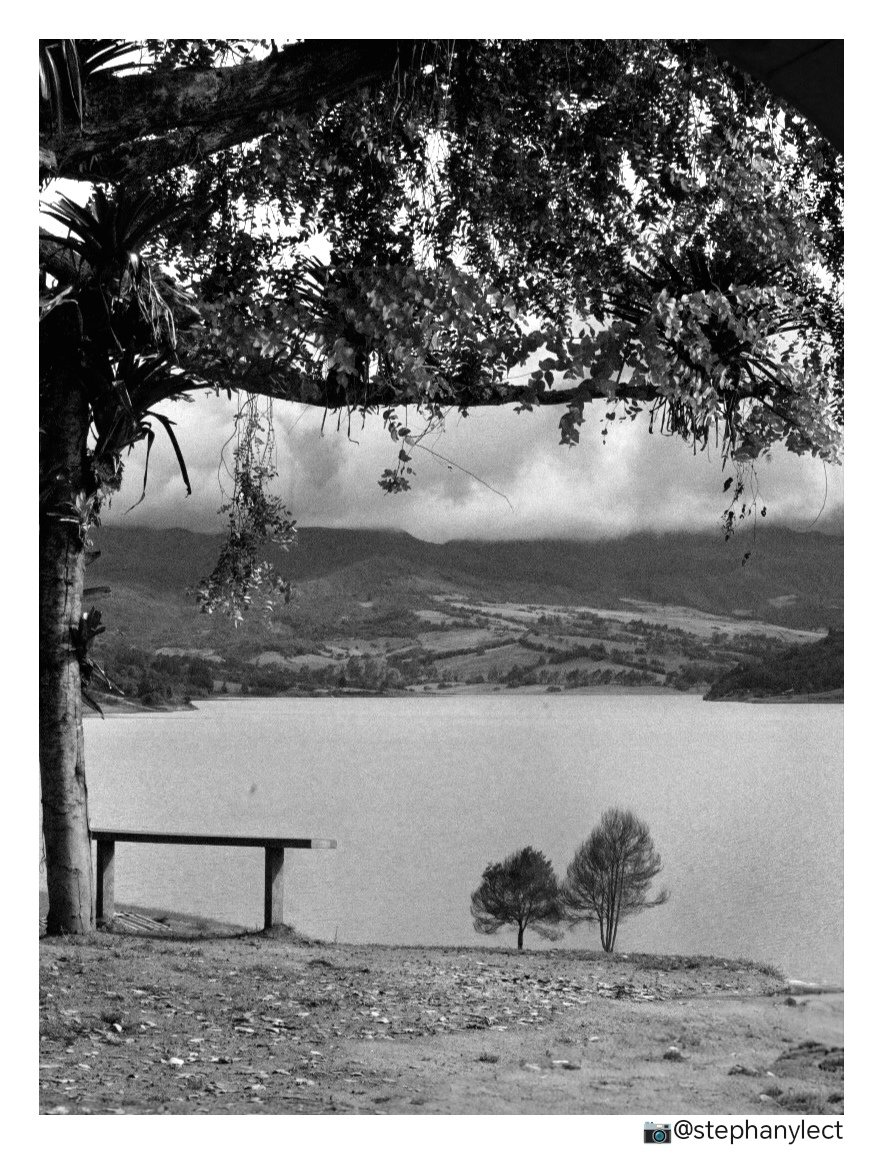 stephanyLect's tweet image. &quot;Ve despacio, oh vida, que yo te vea
con todos tus defectos. !Me he olvidado tanto de ti
en tu océano buscándome y buscándote! Y cada vez que descubría 
uno de tus secretos, me decías, cruel:
¡Qué necio eres!&quot;

—Mahmud Darwish 🇵🇸
#photograghy #poesia