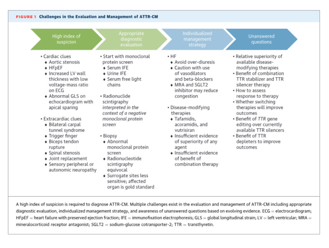 Ed_Alania's tweet image. 🔴 Transthyretin Cardiac Amyloidosis Evaluation and Management: 2025 ACC Concise Clinical Guidance @JACCJournals #Cardiology #CardioEd #Amyloidosis #FOAMed