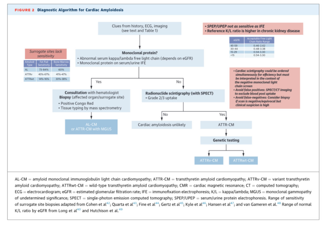 Ed_Alania's tweet image. 🔴 Transthyretin Cardiac Amyloidosis Evaluation and Management: 2025 ACC Concise Clinical Guidance @JACCJournals #Cardiology #CardioEd #Amyloidosis #FOAMed