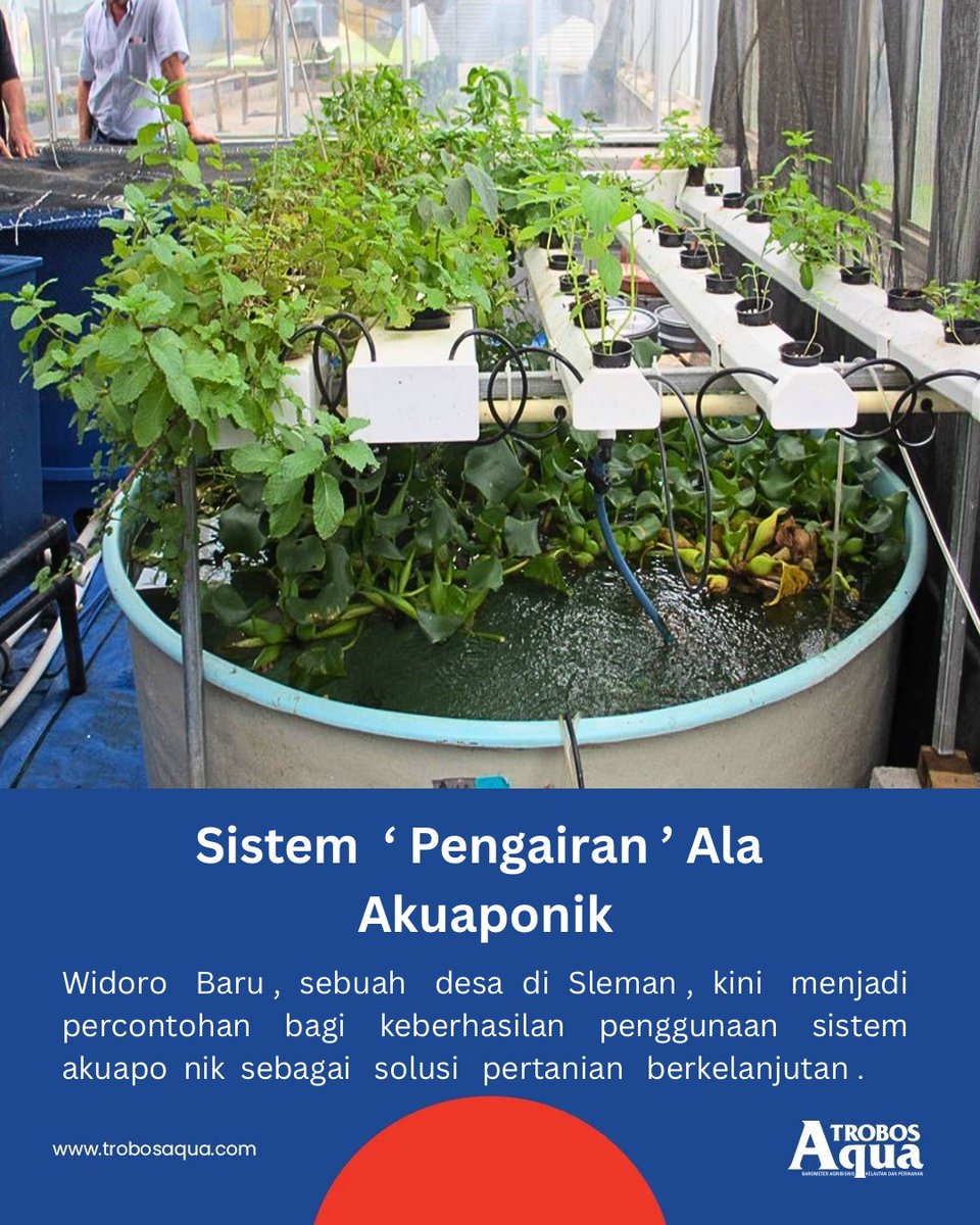 TROBOS Aqua tweet media