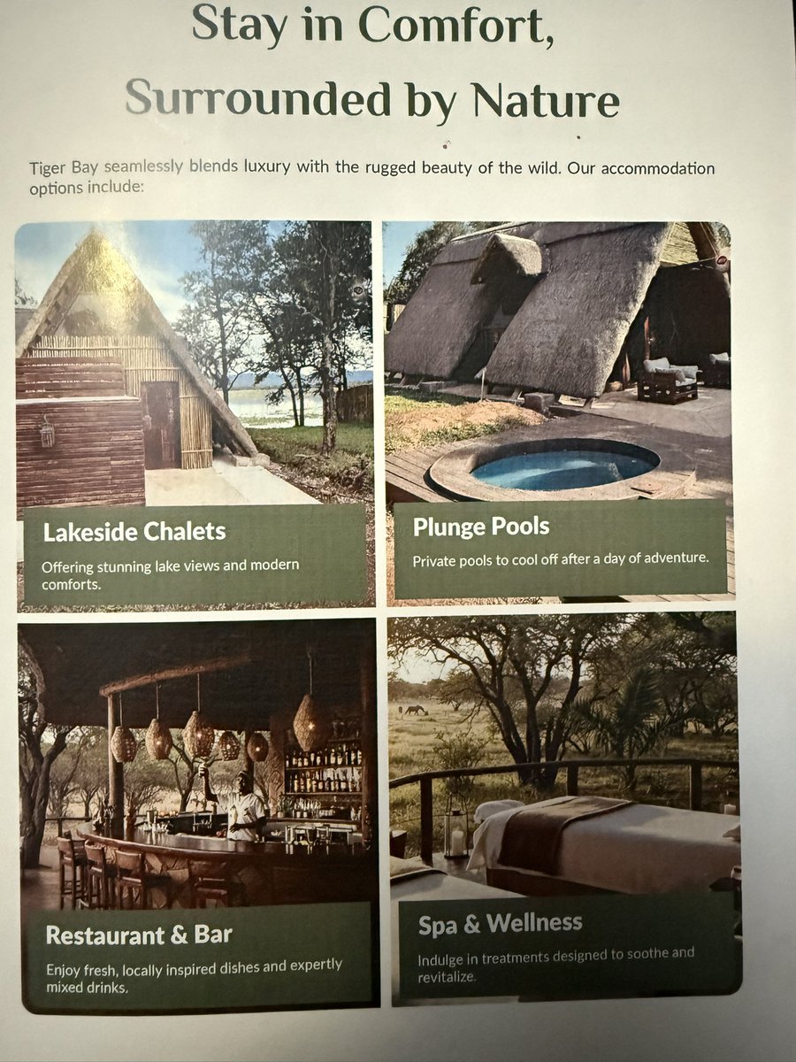 Had an incredible discussion with a Sales Rep for Nyaradzo about their upcoming Tiger Bay Resort under Sahwira Africa Safaris. The resort is in Matusadona National Park. They are expecting to welcome guests in the next 3/4 months. Nyaradzo Group has been making incredible