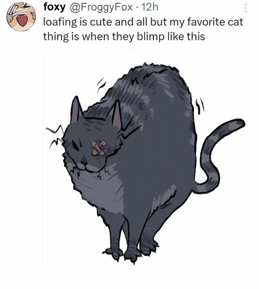 NikTheSoup5's tweet image. silly cat (¯▿¯)
#florimatt #フロマティ